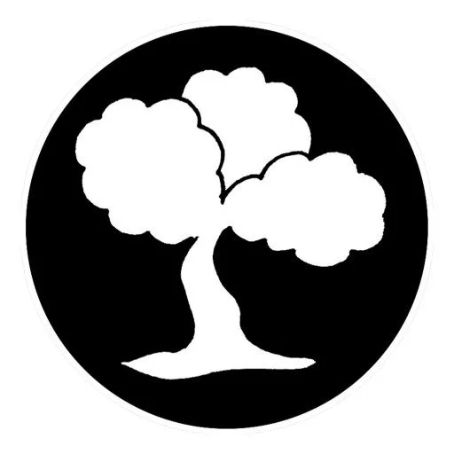 Yoga de boom Baarn